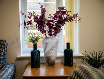 Vases at Rohan Gardens