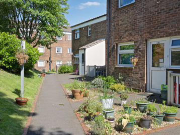 Series of small potted plants in front of a resident's home