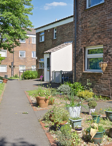 Series of small potted plants in front of a resident's home