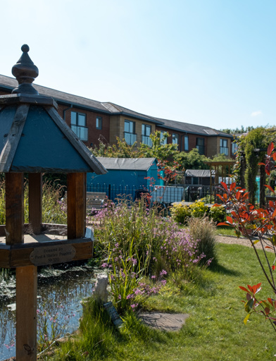 Garden area with a close-up photo of a bird table with pond behind 