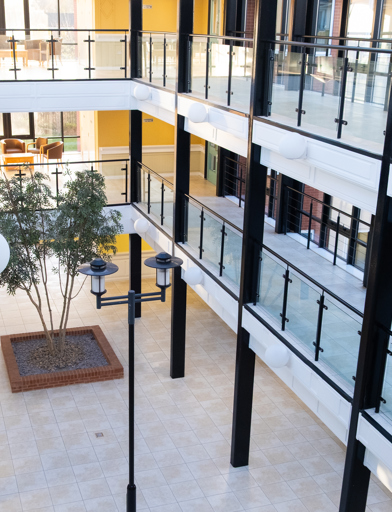 A view from the top floor of one of the large open hallways looking down to the ground floor 