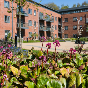 The exterior of Lady Ida Lodge with flowers bordering the path and external gardens
