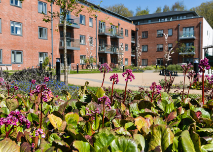 The exterior of Lady Ida Lodge with flowers bordering the path and external gardens