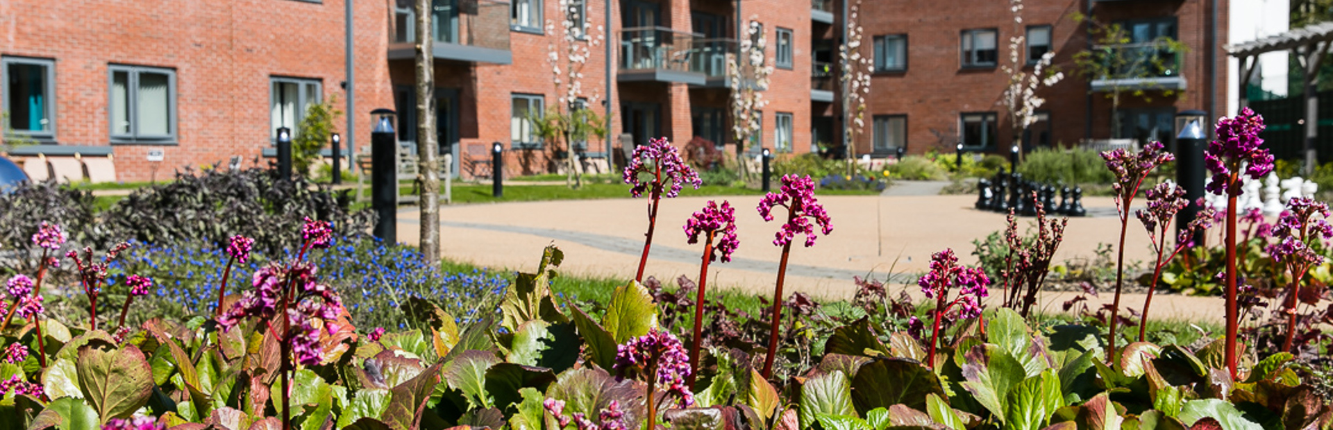 The exterior of Lady Ida Lodge with flowers bordering the path and external gardens