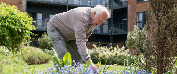 a resident bends down and checks flowers in the garden