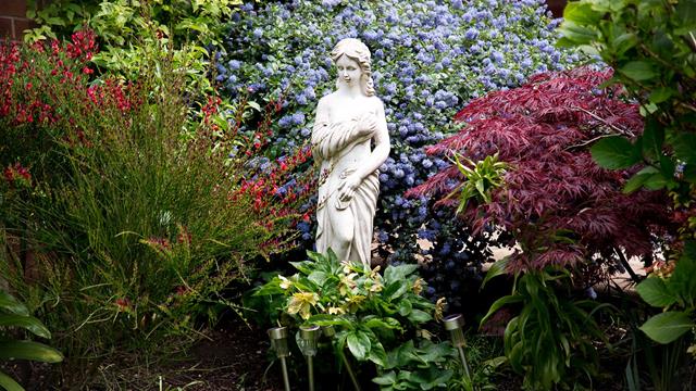 Henry Vernone Court Garden