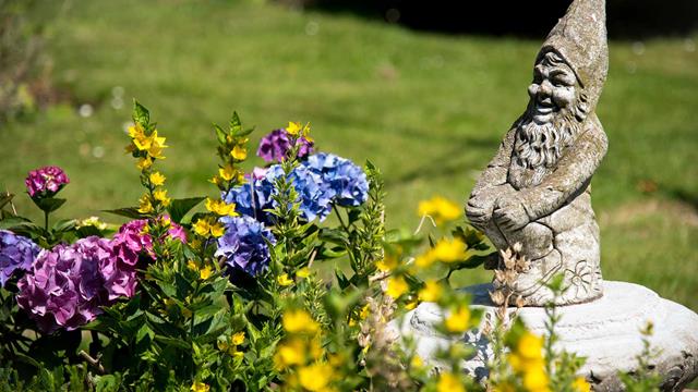 Jubilee Lodge Garden