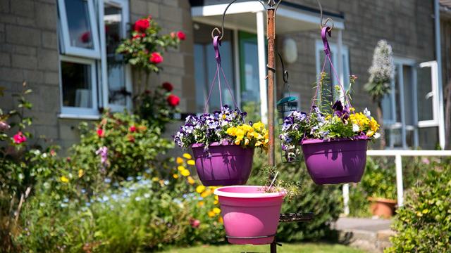 Craddock Court Garden