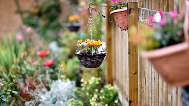 Kipling Court Garden