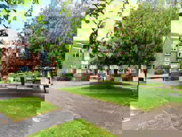Large trees overhanging a large communal garden area with seats and benches