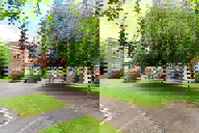 Large trees overhanging a large communal garden area with seats and benches