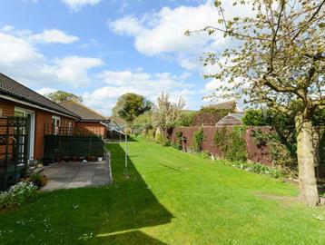 Gardens alongside bungalows with large trees