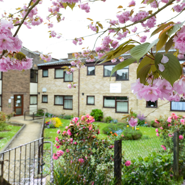 A pathway surrounded by lawn and colourful flowers leads to a two storey building