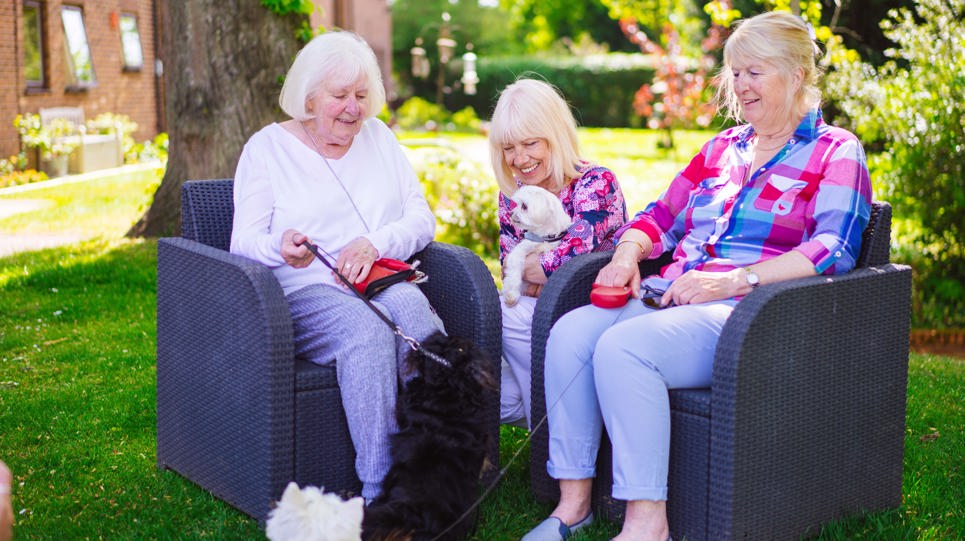 RL Edmund Bacon Court Garden Pet Maureen Walker Grace Overton Dog Sundae Rosemary Miller