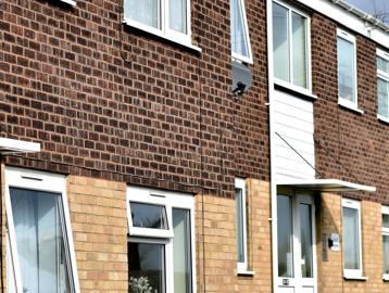 Thompson Court 11