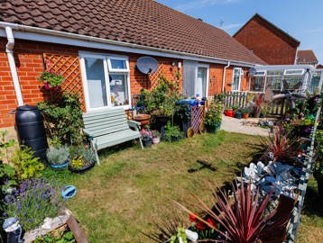 Sunny private garden featuring flowers, plants and a small seating bench.