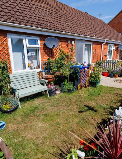 Sunny private garden featuring flowers, plants and a small seating bench.