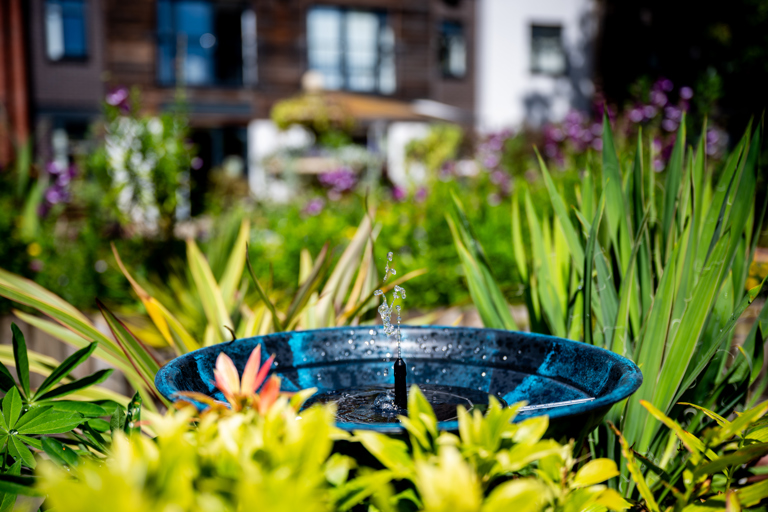 Fountain in greenery at Rohan Gardens