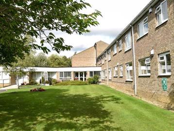 Garden alongside the front entrance with large tree and plants