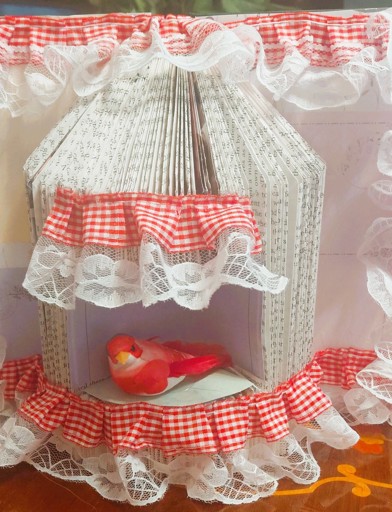 Origami Bird House with Pretend Red Bird Inside 