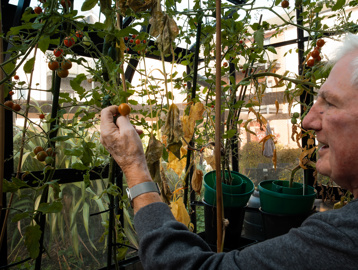 A resident spending time in the greenhouse in one of the communal gardens