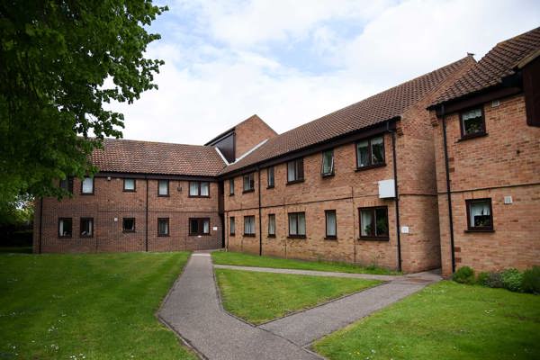 Edmund Bacon Court Gardens