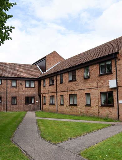 Edmund Bacon Court Gardens