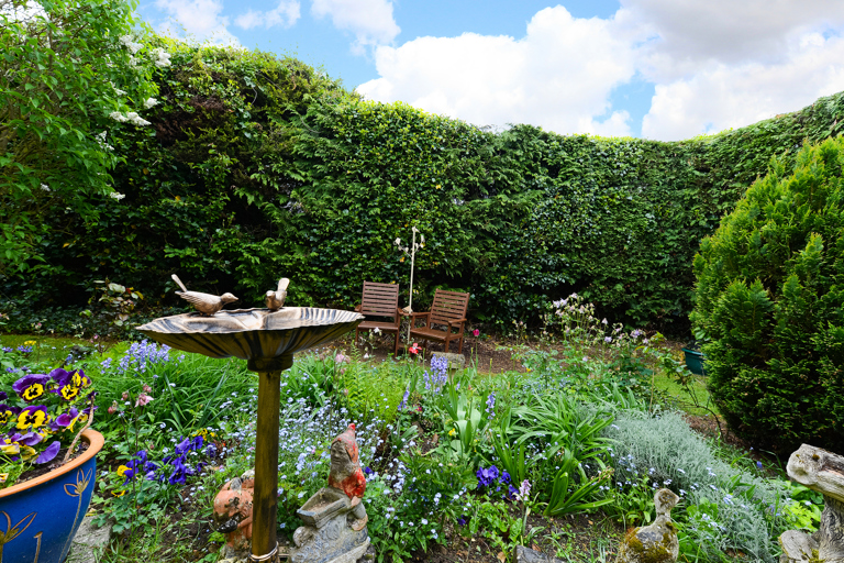 Communal garden with bird bath