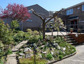 A rockery with plants, flowers and trees to the front of the scheme