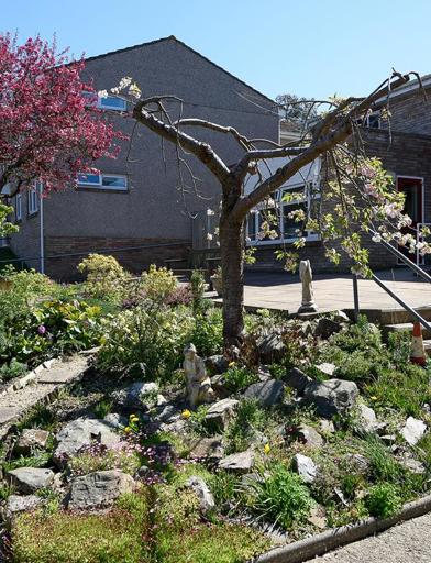 A rockery with plants, flowers and trees to the front of the scheme 