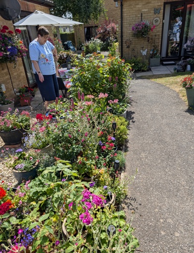 In Bloom SW Flower Beds