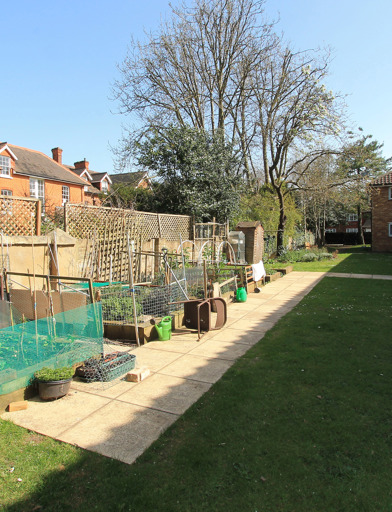 Pantiles House 008 