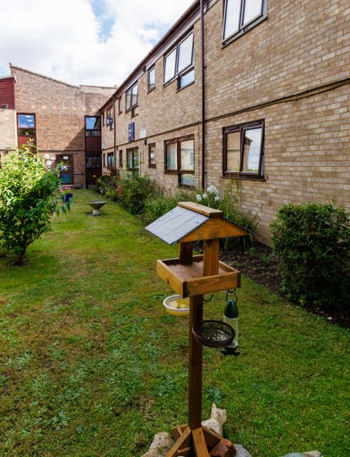 Garden area with bird tables and plants 
