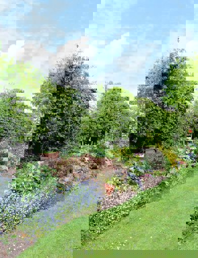 Image (5) 