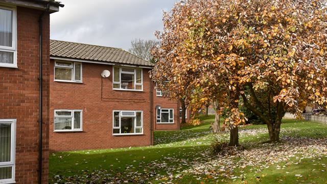 Curtis Court 9