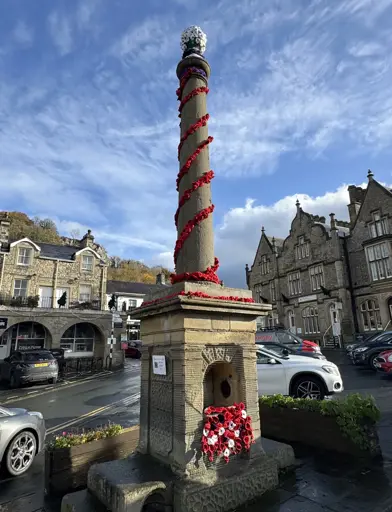Limestone View Poppy Display 
