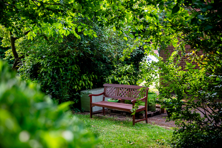 Brown bench situated in a peaceful garden