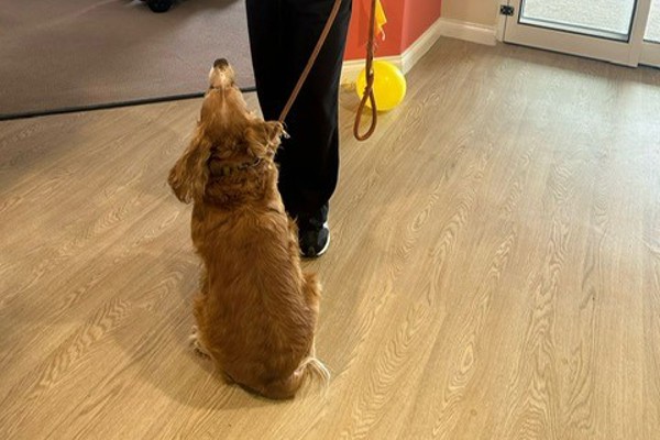 Gildacre Fields care manager with a golden dog sitting