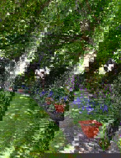Image (60) 
