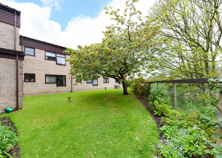Hayden Court 011
