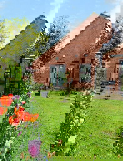 Image (65) 