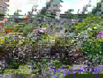 Rohangardens 2025 Outside 02