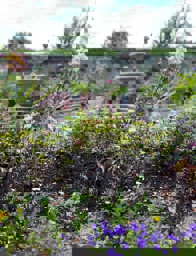 Rohangardens 2025 Outside 02 