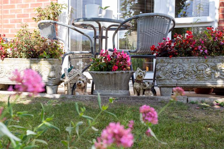 Flowers at Dovecote Meadow in garden area with table and chairs.