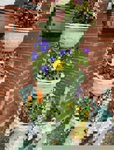 441536084 957924573003215 5740809144292539055 N 