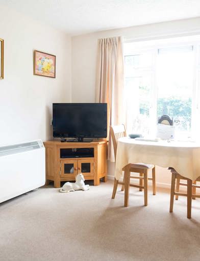 Napier Court Apartment Living Room 