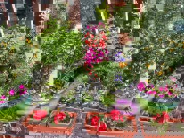 449106704 977095111086161 857494779096935426 N