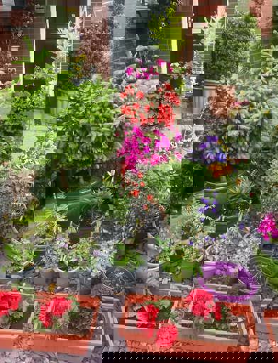 449106704 977095111086161 857494779096935426 N
