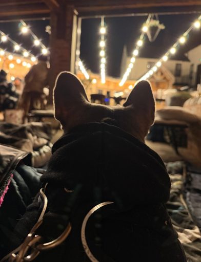 658138387 894033093676561 7586805345994857545 N 