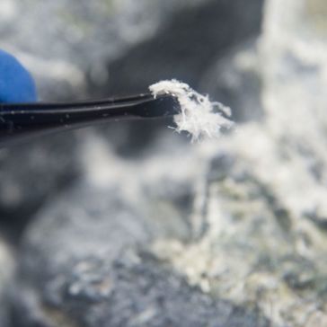 Asbestos